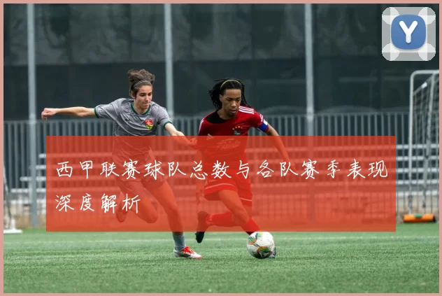 西甲联赛球队总数与各队赛季表现深度解析