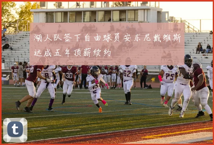 湖人队签下自由球员安东尼戴维斯达成五年顶薪续约