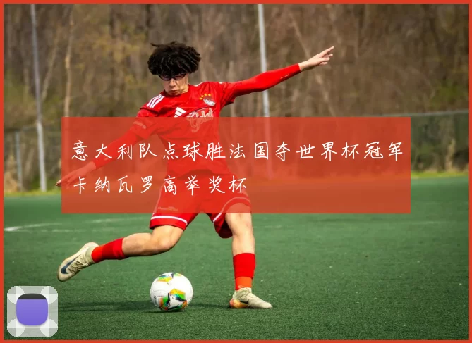 意大利队点球胜法国夺世界杯冠军卡纳瓦罗高举奖杯