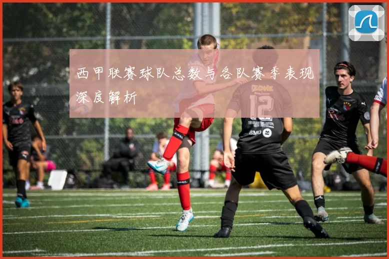 西甲联赛球队总数与各队赛季表现深度解析