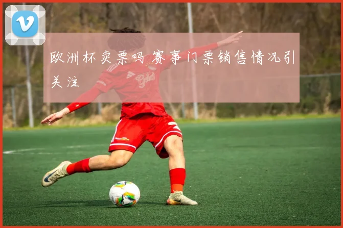 欧洲杯卖票吗 赛事门票销售情况引关注