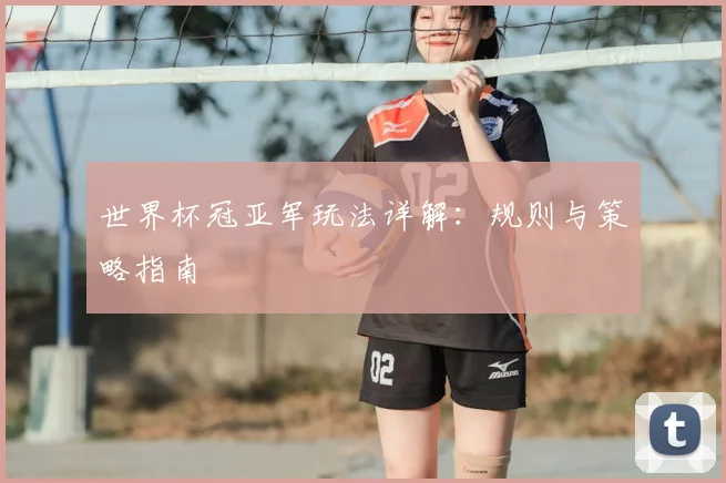 世界杯冠亚军玩法详解:规则与策略指南